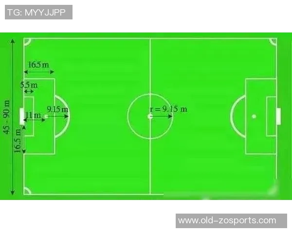 足球场标准宽度的科学解析与国际比赛规则的关系探讨